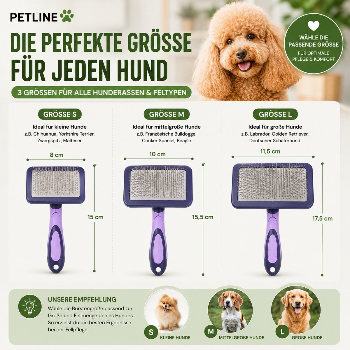 Hundebürste – Sanfte Fellpflege für ein glänzendes Fell