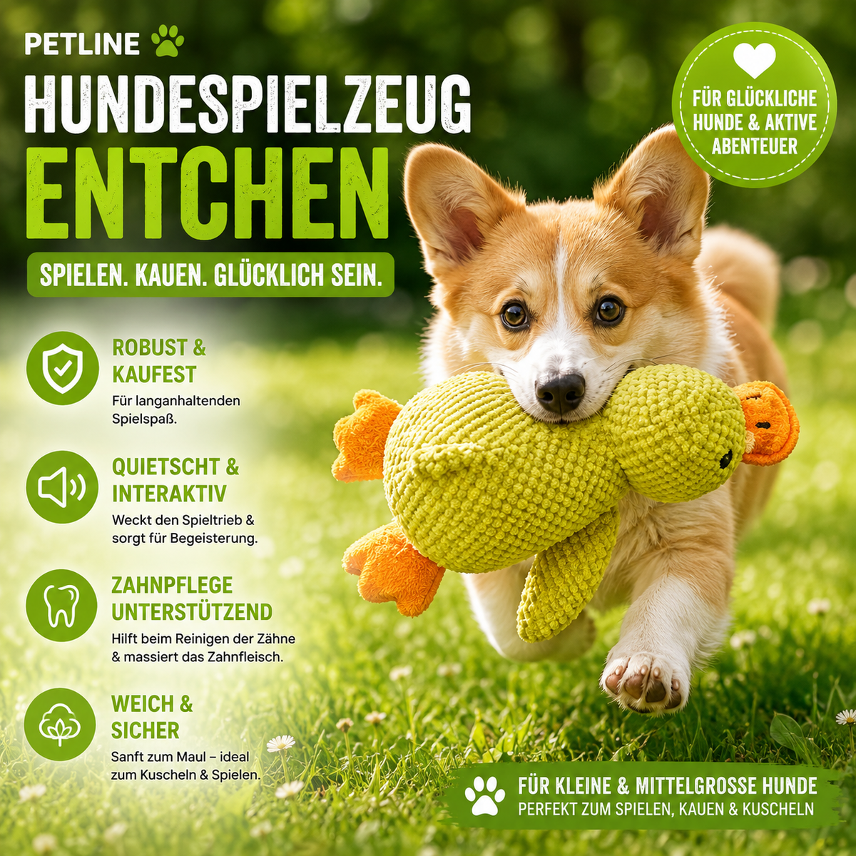 Hundespielzeug Ente – Kuschel & Quietschspaß