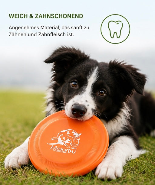 Hundetrainingsscheibe