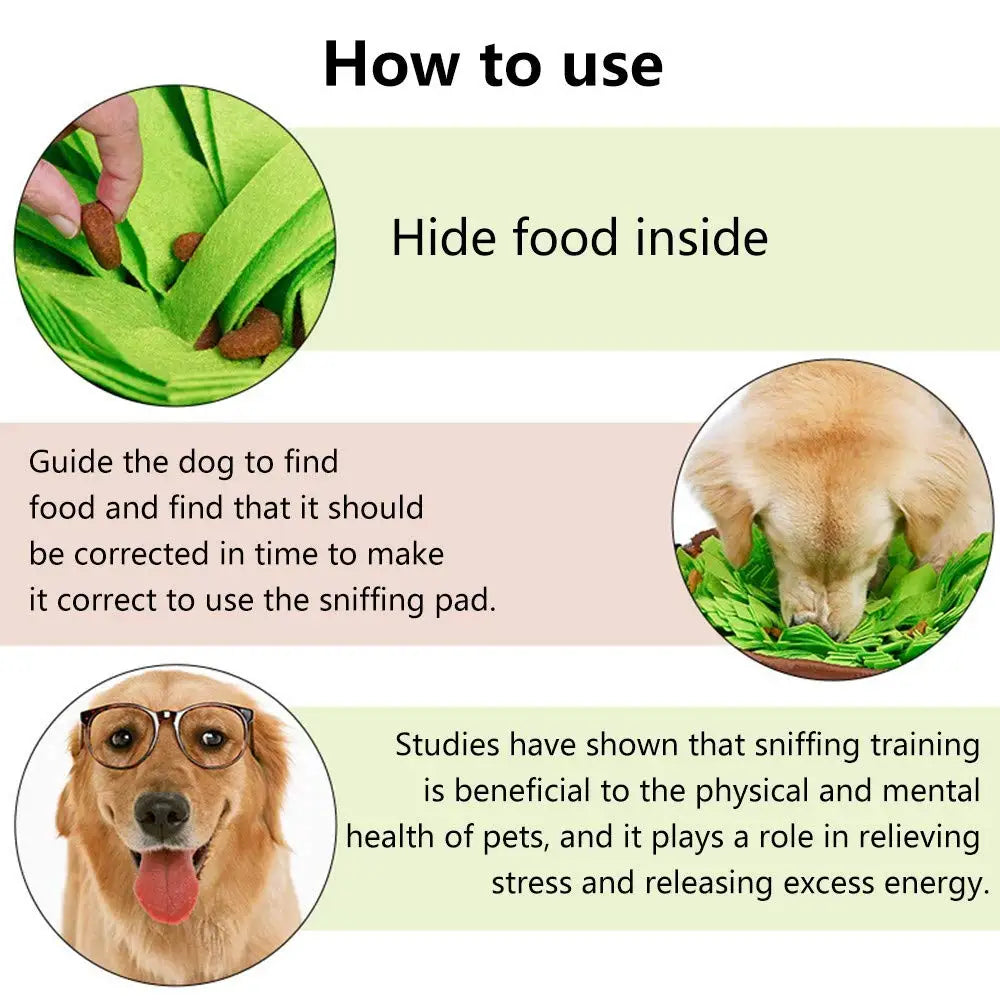 Schnüffelmatte für Hunde