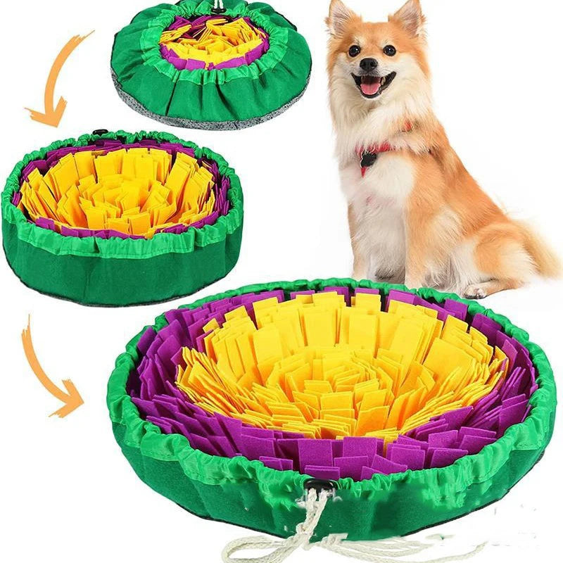 Schnüffelmatte für Hunde