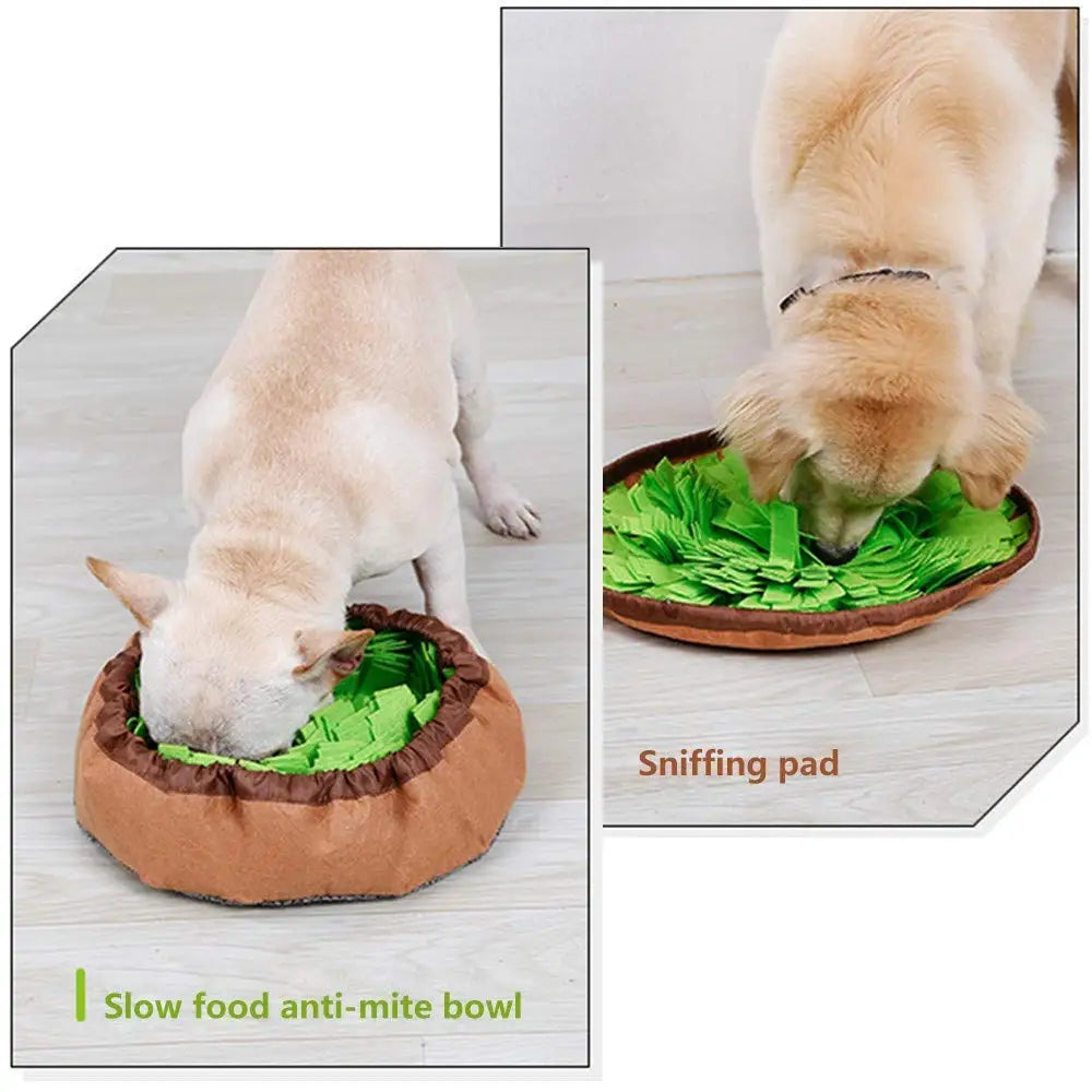Schnüffelmatte für Hunde