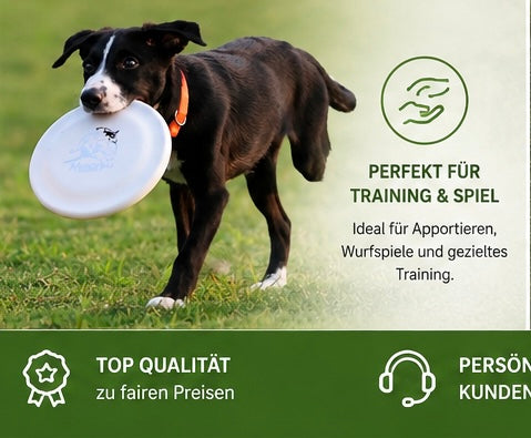 Hundetrainingsscheibe
