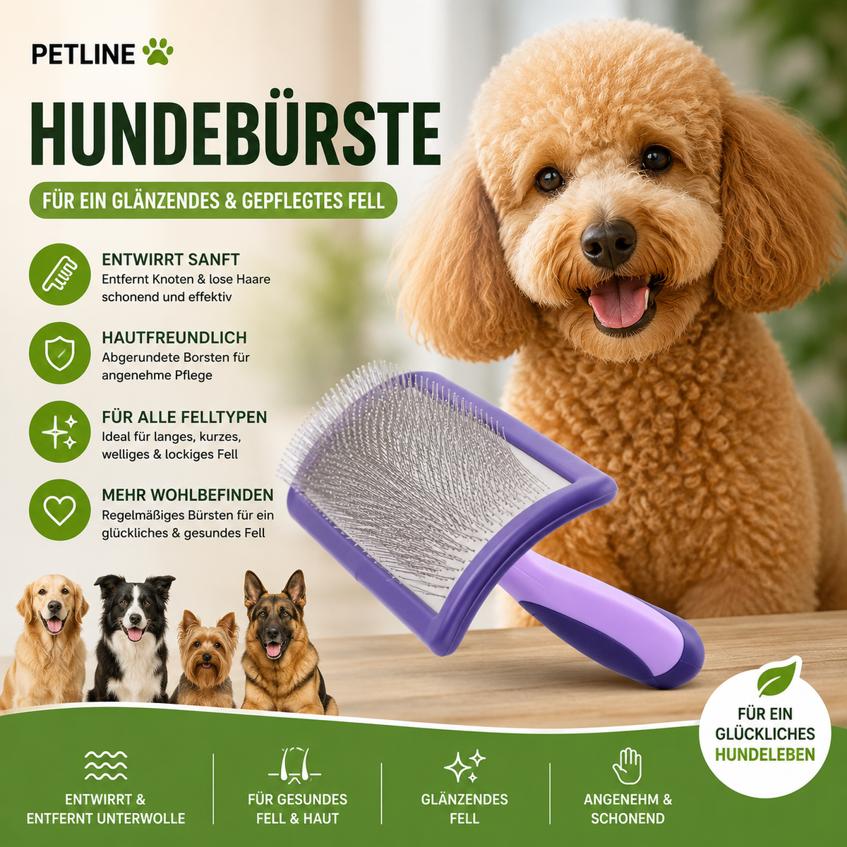 Hundebürste – Sanfte Fellpflege für ein glänzendes Fell
