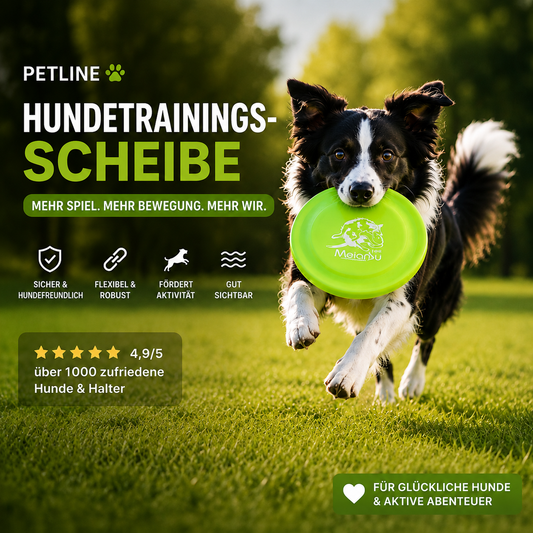 Hundetrainingsscheibe