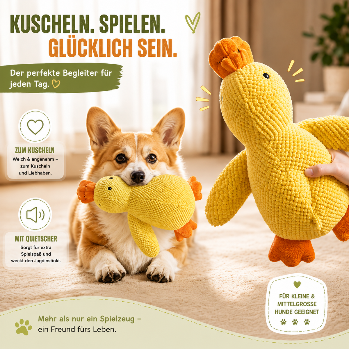 Hundespielzeug Ente – Kuschel & Quietschspaß