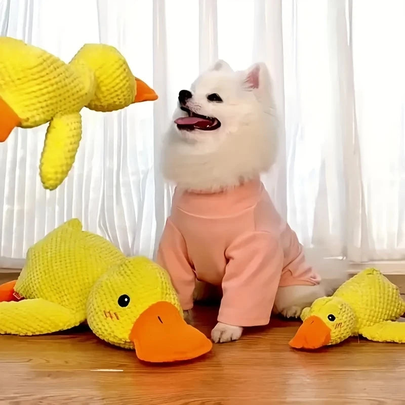 Enten-Plüschspielzeug für Hunde