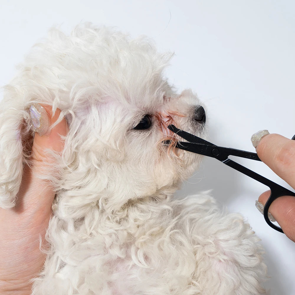 Gesichtspflege-Set für Hunde & Katzen – Augen- & Fellpflege