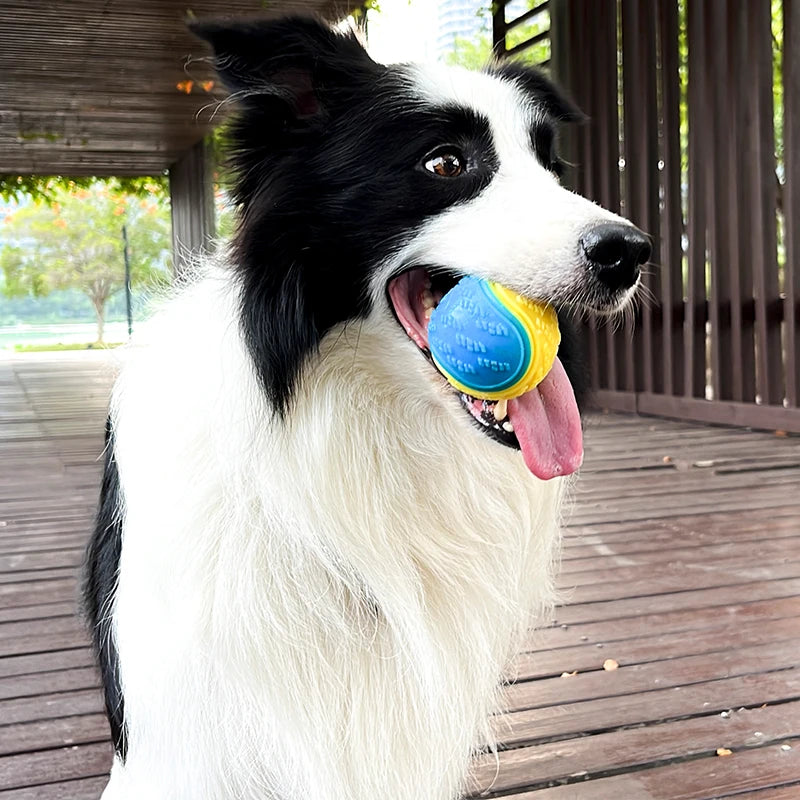 Interaktiver Quietschball für Hunde / Zahnpflege